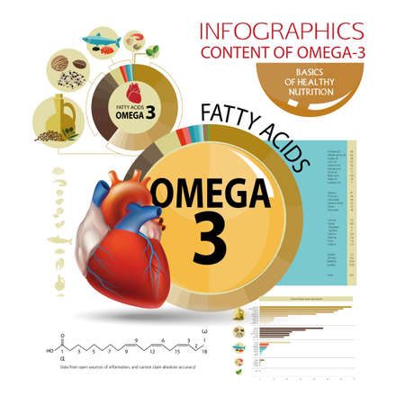 Infographics "Foods with the highest content of Omega-3." Healthy heart and cardiovascular system. Healthy lifestyle. Balanced diet. Basics of healthy nutritionのイラスト素材