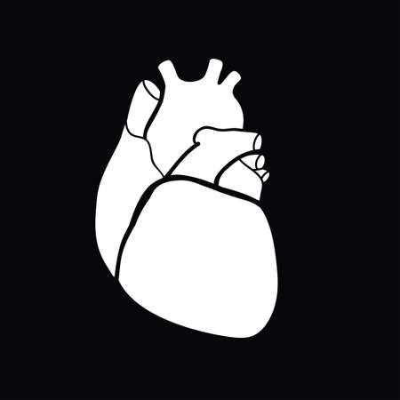 Schematic representation of the human heart.
White image on a black backgroundのイラスト素材