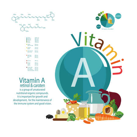 Composition of foods with the maximum vitamin A content. Retinol and carotene. The Basics of Healthy Eatingのイラスト素材