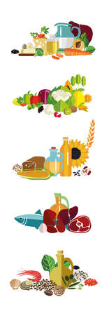 Fundamentals of a balanced diet. Food containing the substances necessary for health. Correct balance of fats, carbohydrates, proteins and fiber. Vitamins and microelements.のイラスト素材