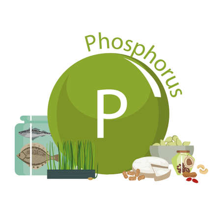 Products rich with phosphorus. Bases of healthy food. Composition from natural organic products and the sign of phosphorus on a white background. Healthy lifestyleのイラスト素材