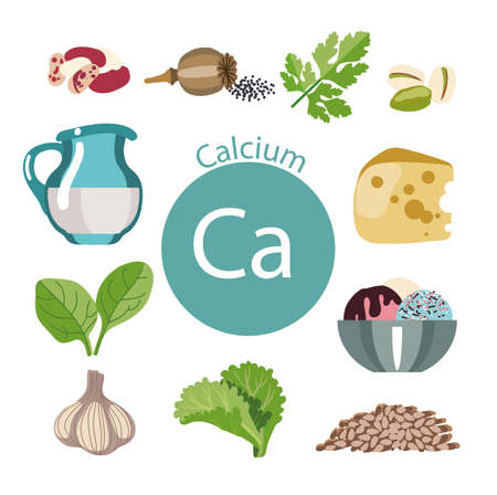 Food rich with calcium. Healthy Food series. The products containing calcium. Natural organic food.のイラスト素材