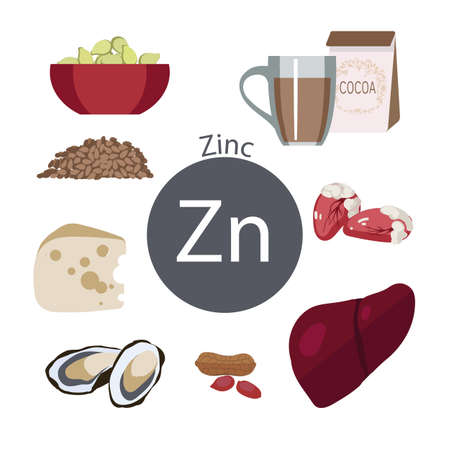 Products rich with zinc. Bases of healthy food. Composition from natural organic products and the sign of zinc on a white background. Healthy lifestyleのイラスト素材