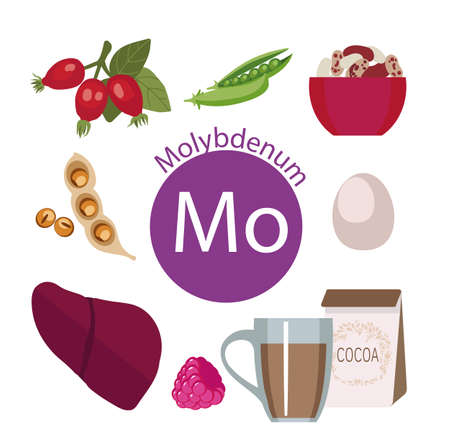 Products rich with molybdenum. Bases of healthy food. Composition from natural organic products and the sign of molybdenum on a white background. Healthy lifestyleのイラスト素材