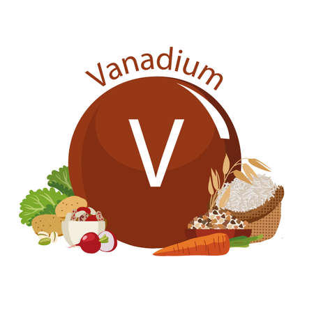 Products rich with vanadium. Bases of healthy food. Composition from natural organic products and the sign of vanadium on a white background. Healthy lifestyleのイラスト素材