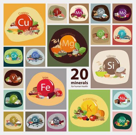 Bases of a healthy nutritionのイラスト素材