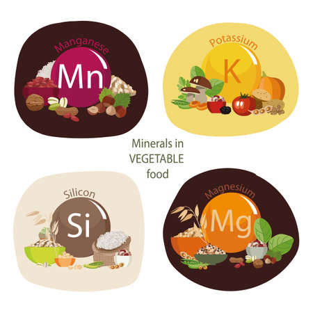 Minerals in food. Healthy lifestyle concept.のイラスト素材