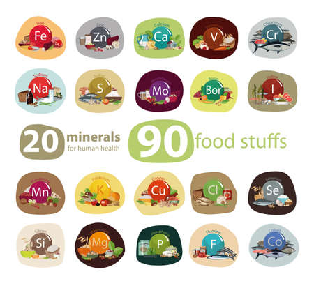 Food rich in minerals health concept.のイラスト素材