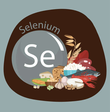 Selenium. Food sources. Composition from natural organic products with a high content of selenium and a sign of selenium. Basics of a healthy diet.のイラスト素材