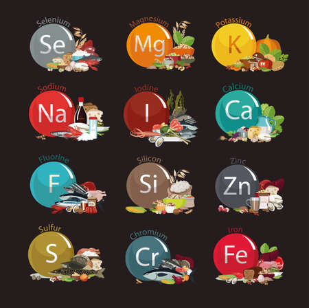 12 microelements for human health. Food sources. Food with the maximum content of basic minerals.のイラスト素材