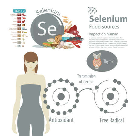 Infographics. Selenium. Food sources and influence on human health.のイラスト素材