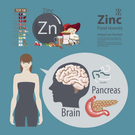 Infographics. Zinc. Food sources and influence on human health.のイラスト素材