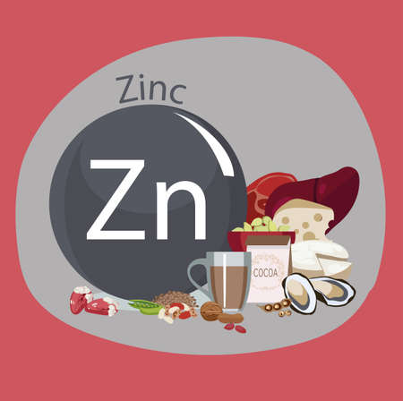 Zinc. Food sources. のイラスト素材