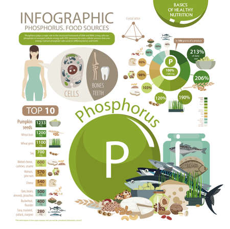Phosphorus food sources icons such as fishのイラスト素材