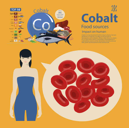 cobalt. Food sources. Food products with the maximum cobalt content. Impact on humanのイラスト素材