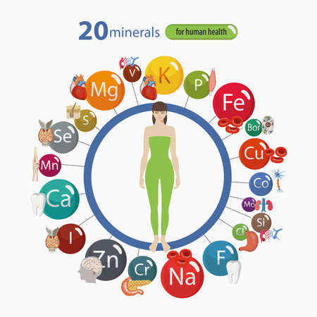 20 minerals: microelements and macro elements and their effect on the health of the organs of the human body. Fundamentals of healthy eating and healthy lifestyles.のイラスト素材