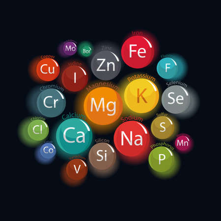 20 minerals: microelements and macro elements, useful for human health. Fundamentals of healthy eating and healthy lifestyles.のイラスト素材