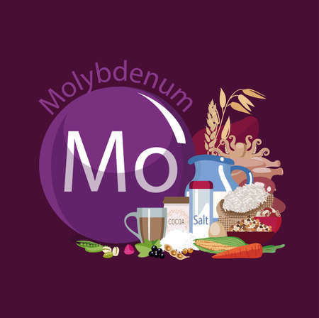 Molybdenum. Food sources. Natural organic products with a high content of molybdenum. Healthy Eating
のイラスト素材