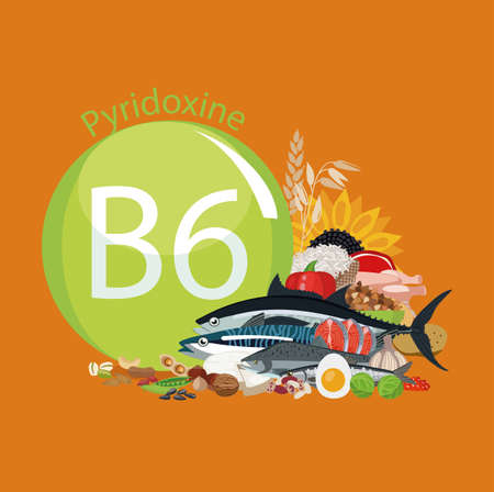 Vitamin B6 (pyridoxine). Food sources. Natural organic products with the maximum content of vitamin B6.のイラスト素材