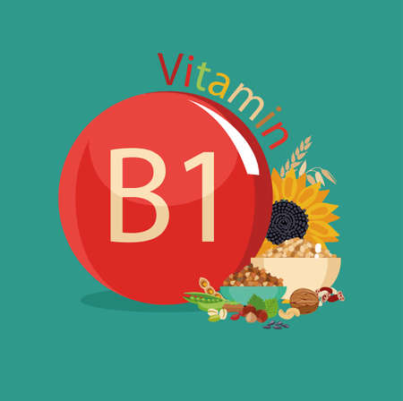 Vitamin B1. Natural organic products with the maximum content of vitamin B1のイラスト素材