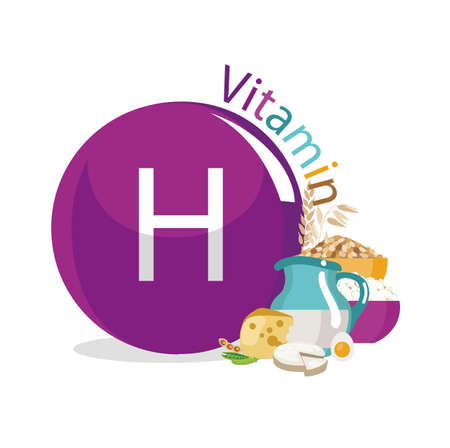 Vitamin H (vitamin B7, biotin) food sources. Natural organic products with the maximum content of vitamin H.のイラスト素材
