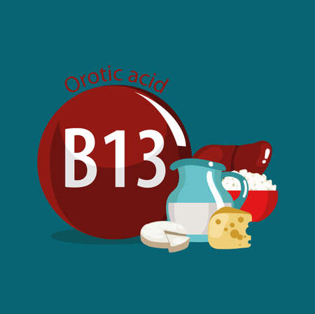 Vitamin B13 (Orotic acid). Natural organic products (dairy products, by-products) with the highest content of vitamin B13.のイラスト素材