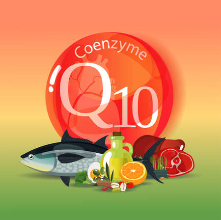 Coenzyme q10. Healthy eating for Normalization of cardiac activity. Natural organic products with a high content of coenzyme q10 vector illustrationのイラスト素材