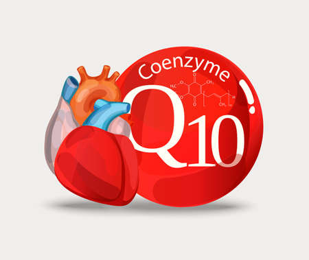 Coenzyme q10 and heart. Substance for maintaining cardiac activity. Basics of a healthy lifestyle.のイラスト素材