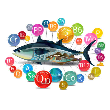 Microelements (vitamins, minerals) in fish. The basis of a healthy diet Vector illustration.のイラスト素材