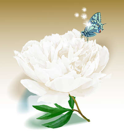 Flower and butterfly. Vector illustration. White, goldのイラスト素材