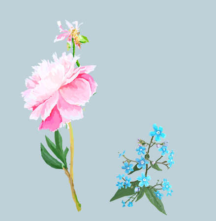 Peonies, forget-me-nots. Scenic image of flowers in vector.のイラスト素材