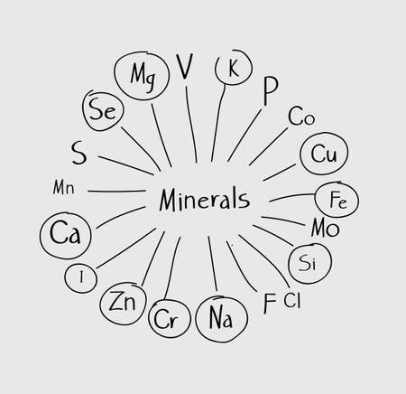 All minerals for health benefits in food. Scheme. Balanced dietのイラスト素材