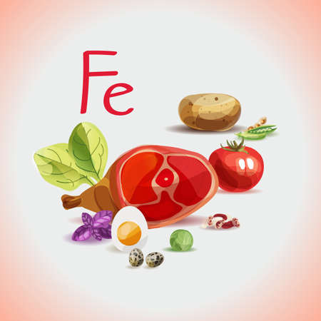 Iron in food. Natural organic products with a high content of Iron. Healthy nutrition as the basis of a healthy lifestyle.のイラスト素材