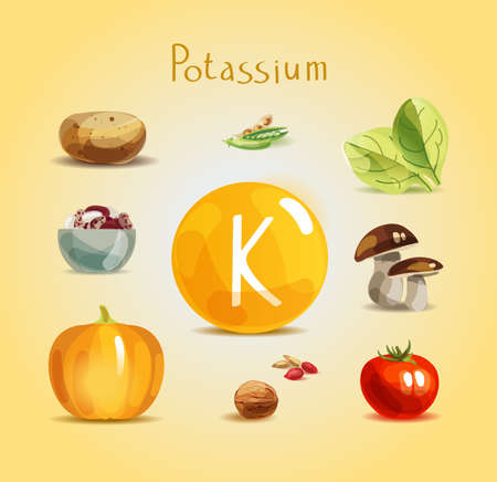 Potassium in food. Natural organic products with a high content of potassium.のイラスト素材
