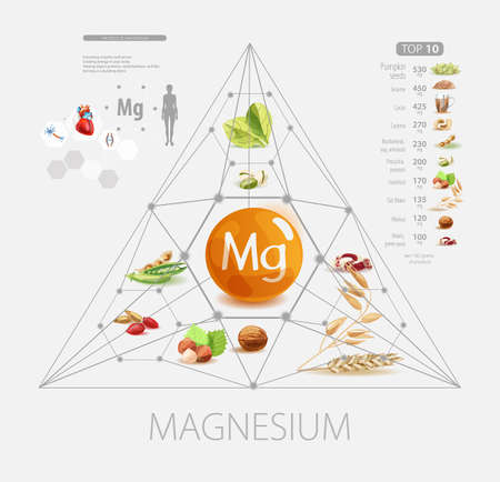 Magnesium. Foods with the highest magnesium content. The effect of magnesium on the human body. Basics of healthy eatingのイラスト素材