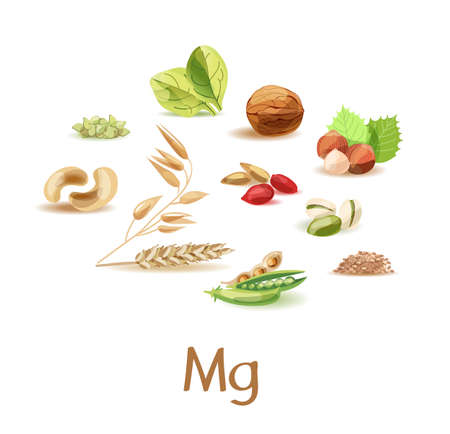 Magnesium-containing products. A set of products of plant origin with a high content of trace elements magnesium.のイラスト素材
