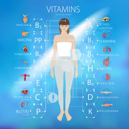 Vitamins. The effect of vitamins on human organs.のイラスト素材
