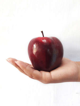 fresh red apples held by one hand cupped against a white backgroundの写真素材