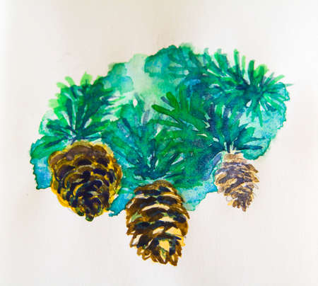 Watercolor illustration of fir tree branch with conesの写真素材