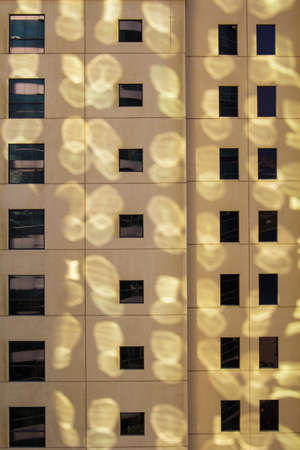 game of sunlight on a building wall textureの写真素材