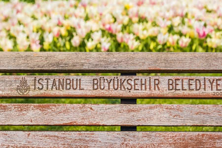 background park bench and tulips in Istanbulの写真素材
