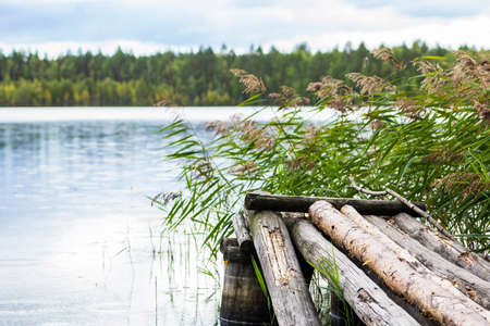 beautiful natural landscape with views of the lake and the wooden bridges in the bush grass lakeの写真素材
