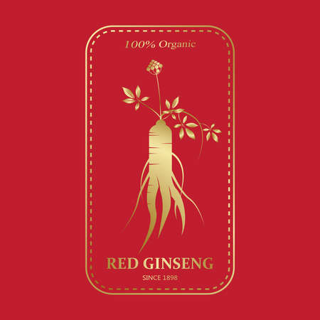 Korean or Chinese red ginseng root, Text label in Korean cultivated ginseng. Ginseng symbol for Korean cosmetics, Chinese medicine, food products, tea packages. Vector illustrationのイラスト素材