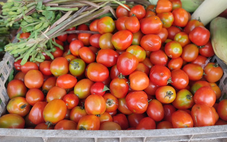 Red tomatoes in a basket at the marketの写真素材