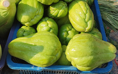 Chayote Squash displayed for sale at local Farmer's Marketの写真素材