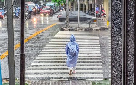 A woman is crossing a zebra crossing on a rainy dayの写真素材