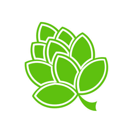 Vector Illustration of green hop flower.のイラスト素材