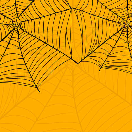 Vector background of spider web for Happy Halloween.の写真素材