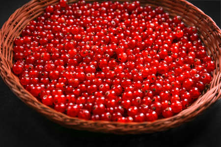 A brown wooden crate on a dark black background. Colourful red currant full of nutritious vitamins. Close-up ripe fresh currant. Delicious berries.の写真素材