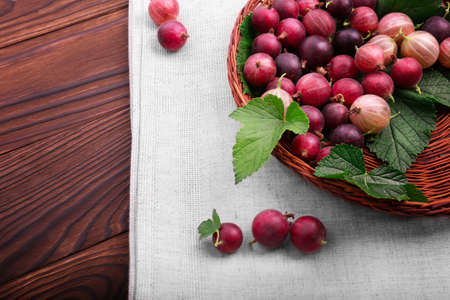 A macro light brown basket full of ripe multi-colored gooseberries . Fresh bright gooseberries on a dark wooden background. Bright raw red gooseberries in a new crate. Sour berries.の写真素材